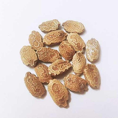 LPR KARELA ,BITTAR GOURD Seed(70 per packet)