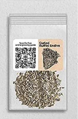 CYBEXIS Endive Curled Ruffec1000 Seeds Seed(1000 per packet)