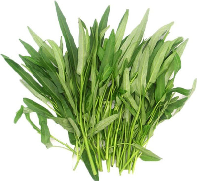 CYBEXIS Chinese Watercress Plants Seeds2000 Seeds Seed(2000 per packet)