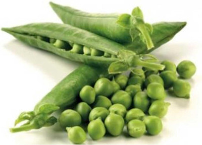 Qualtivate PUA-2A Thomas Laxton Pea Garden Seeds Seed(200 per packet)