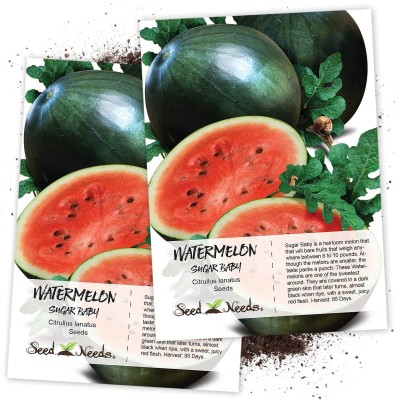 Qualtivate ICRA-5A Sugar Baby Watermelon (Citrullus lanatus) Seed(100 per packet)