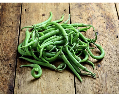 Quentova Green Chilli-8S-QLTY Seed(200 per packet)