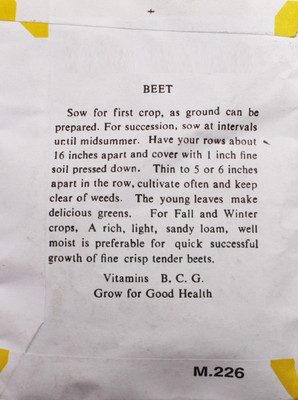 WILLVINE Imported Detroit Dark Red Beetroot Seeds-[600 Seeds] Seed(600 per packet)