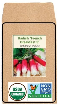 KNESSiN Radish French Breakfast Seed(500 per packet)