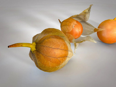 QALANDAR Cape Gooseberry |Peruvian Ground Cherry Seed(100 per packet)