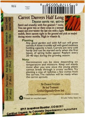 CYBEXIS GBPUT-44 - Carrot Danvers Half Long - (250 Seeds) Seed(250 per packet)