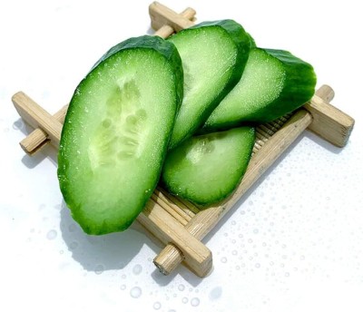 KNESSiN Spring Cucumber Seed(1250 per packet)