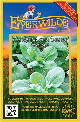 WILLVINE ROX -IV Canton Pak Choi Chinese Cabbage Seeds [1g] Seed(300 per packet)