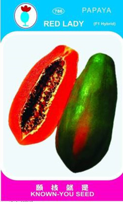 Pbevergreen papaya Seed(105 per packet)