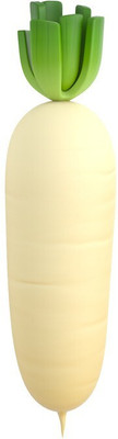 the green dotcom Upl Radish (Mulli) Vegetable Hybrid Variety Seed(60 per packet)