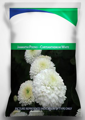 Qualtivate LX-323 Jamanthi Poovu - Chrysanthemum White Seeds Seed(25 per packet)