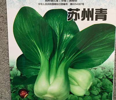 CYBEXIS Chinese Pak Choy, Shanghai Green, Chinese Vegetables Seeds2000 Seeds Seed(2000 per packet)