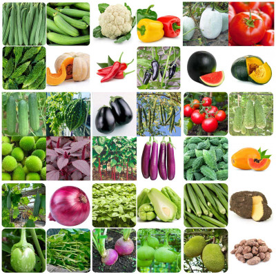 Pbevergreen 40 Variety Of Vegetable Seeds Combo Pack With Instruction Manual Seed(2400 per packet)