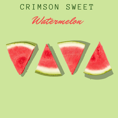 KNESSiN Disease-Resistant Sweet Crimson Watermelon Fruit Seeds for Garden-(100 Seeds) Seed(100 per packet)