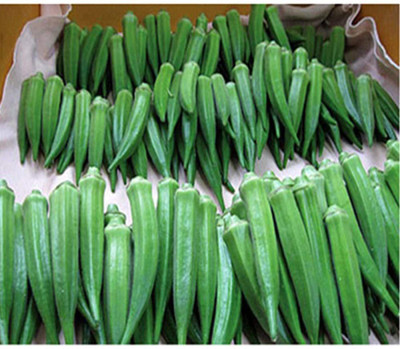 CYBEXIS Green Okra Seeds800 Seeds Seed(800 per packet)