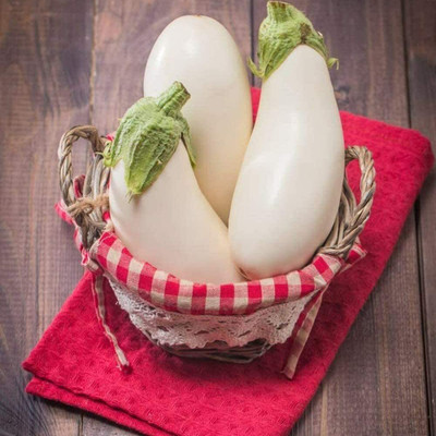 CYBEXIS White Brinjal Egg Eggplant Seeds600 Seeds Seed(600 per packet)