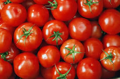 XOLDAA hybrid f1 quality tomato seeds Seed(30 per packet)