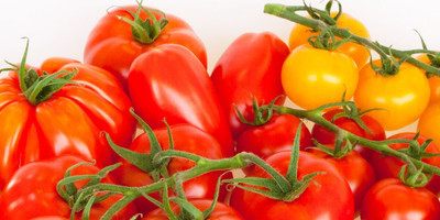 the green dotcom tamato vegetable hybrid seeds 1-packet Seed(105 per packet)