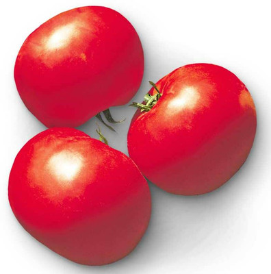 STOY Tomato Supersonic Seed(200 per packet)