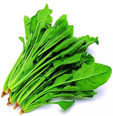 Quentova High Quality Spinach/Palak Vegetables-RAJ-9S Seed(300 per packet)
