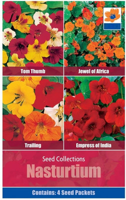 CYBEXIS Nasturtium 4 in 1 Pack Includes (Tom Thumb Jewel Africa Trailing Empress India) Seed(1 g)