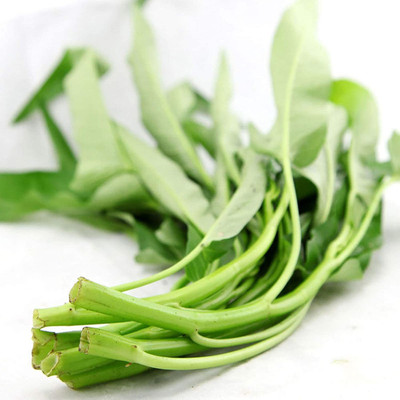CYBEXIS Non-Hybrid Green Eco-Friendly Water Spinach Seeds2000 Seeds Seed(2000 per packet)