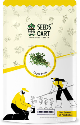 SeedsCart Thyme Seed(1000 per packet)