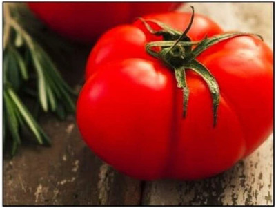 VibeX KGF -20 - Beefsteak Tomato - (1350 Seeds) Seed(1350 per packet)