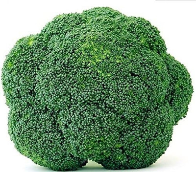 Qualtivate PUAS-3A Blue Wonder Broccoli Seed Seed(300 per packet)