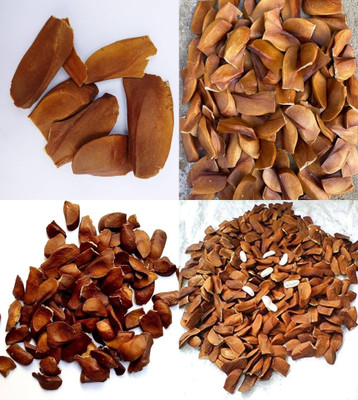 ibains African mahogany seeds bij 16 Seed(16 per packet)