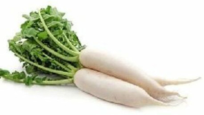 CYBEXIS Kalyani White Radish2400 Seeds Seed(2400 per packet)