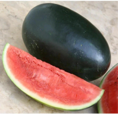 CEZIUS High Germination Tropical Fruit Watermelon/तरबूज के बीज Seed(60 per packet)
