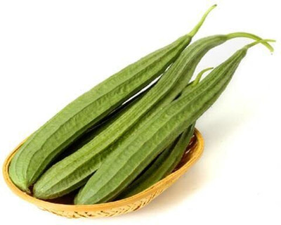 VNR Fresh VNR Ridge Gourd (Torai) Hybrid Vegetable Seed(10 per packet)