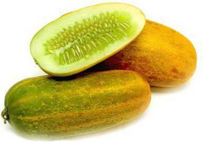 CRGO CUCUMBER , KHEERA Seed(75 per packet)