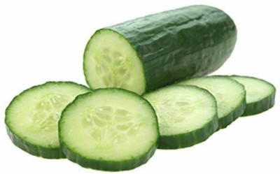 Quentova Cucumber Intimidator F1 Seed-NST-22L Seed(250 per packet)