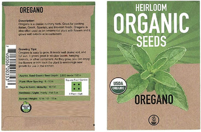 CYBEXIS Non-GMO Organic Herb Seeds:Oregano700 Seeds Seed(700 per packet)