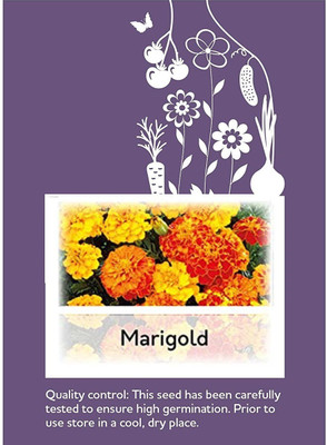 CYBEXIS Marigold Flower Seeds100 Seeds Seed(100 per packet)