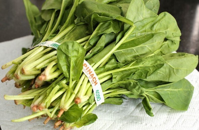 Avysa Palak/Spinach Vegetables Seed(100 per packet)