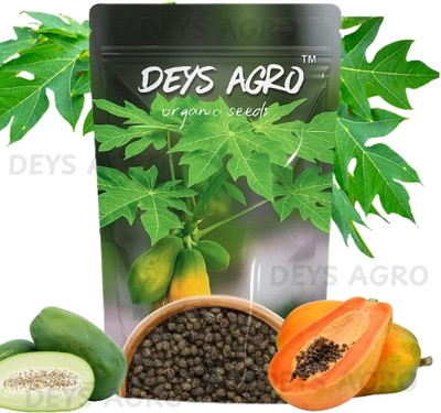 DEYS AGRO ™ hybrid papaya seeds for home garden Seed(100 per packet)