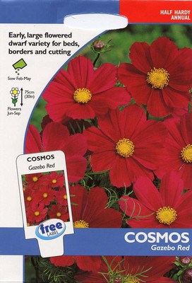 CYBEXIS Flower - Cosmos Gazebo Red Seed(1 g)