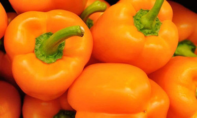 LPR CAPCICUM SEEDS, SHIMLA MIRCH Seed(200 per packet)