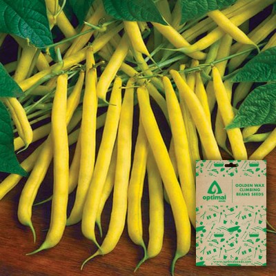 Optimal Seeds Golden Wax Climbing Beans Seed(10 per packet)