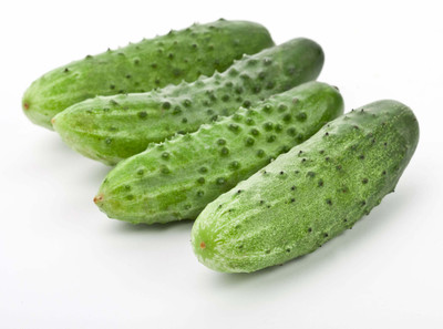 WHYGI HYBRID CUCUMBER SEEDS-CuC_859 Seed(150 per packet)