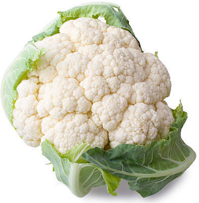 True Elements white cauliflower,gobhee seeds Seed(40 per packet)