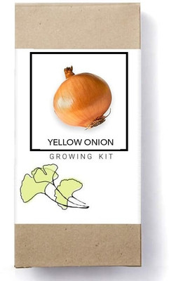 Biosnyg Yellow Onion[500 Seeds] Seed(500 per packet)
