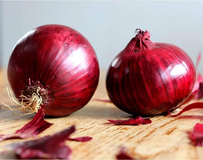 Qualtivate XXX-6A Red Baron Onion Non GMO Seed(500 per packet)