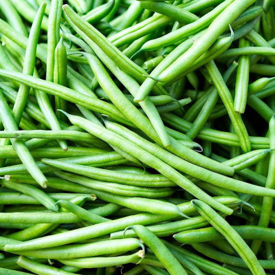 CEZIUS Superb Variety French Bean Seed(80 per packet)