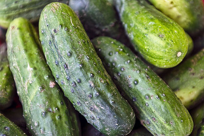 BHUSAN Vellarikkay Seeds/cucumber seeds 13 Seed(13 per packet)