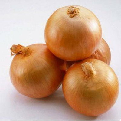 Quentova Golden Organic Onion-VXL-4M Seed(300 per packet)