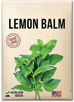 CYBEXIS XLR-57 - Lemon Balm - (2250 Seeds) Seed(2250 per packet)
